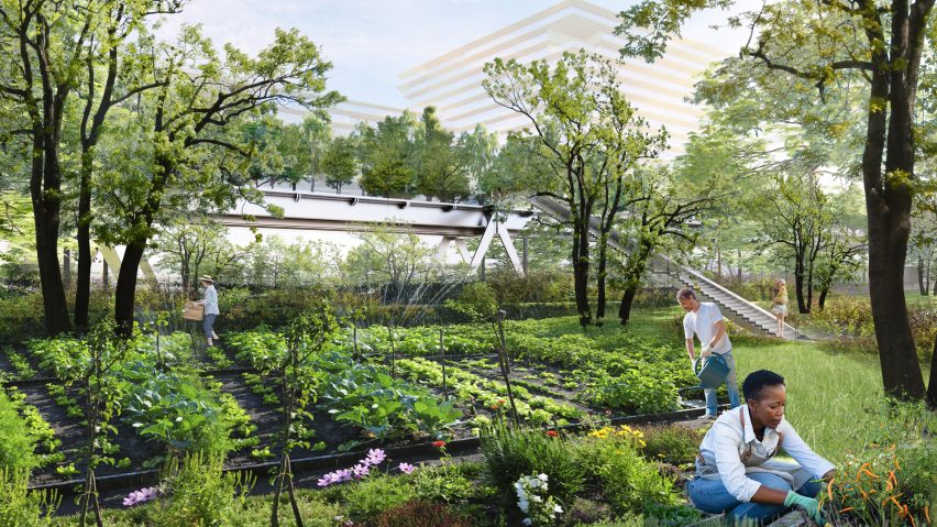 It has community gardens