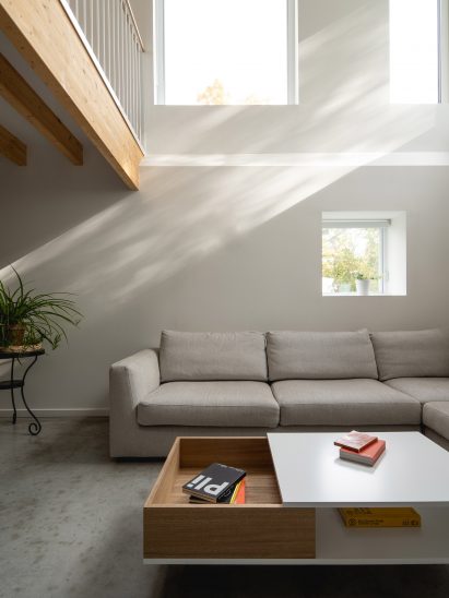 Park Ex House has a light-filled basement