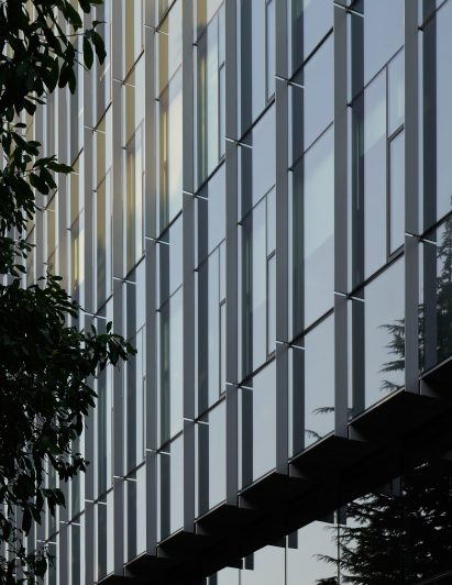 Glass defines The Rosling Center
