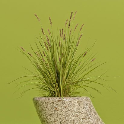 A close-up of the brownish stone colour