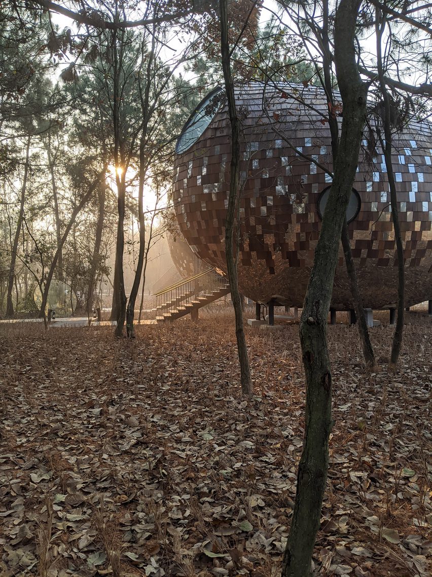 One of The Seeds holiday cabins