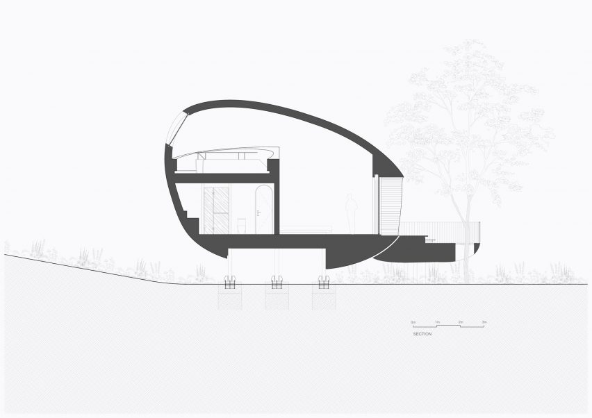 Section of The Seeds by ZJJZ Atelier