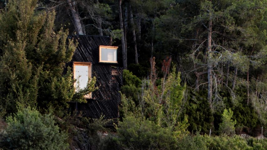 A wooden cabin nestled in woodland