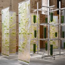 Bit.Bio.Bot algae installation