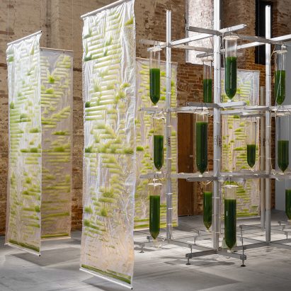 Bit.Bio.Bot algae installation