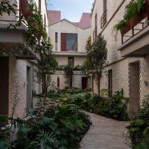 Casa Jardin Escandón by CPDA