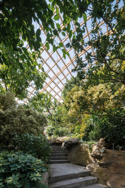 Stone pathways lead around the Taiyuan Botanical Garden
