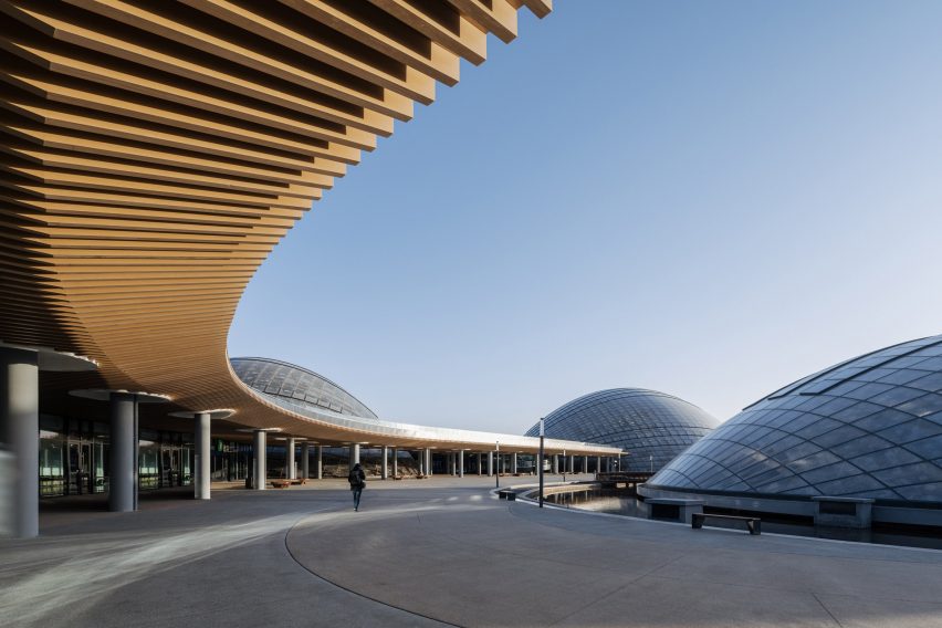 Wooden battens line the canopy