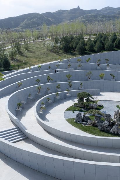 A bonsai garden