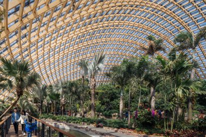 A greenhouse with a wooden lattice roof