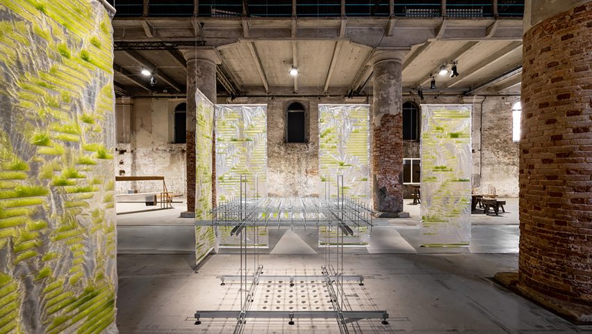 Bit Bio Bot exhibition by EcoLogicStudio at the Venice Architecture Biennale