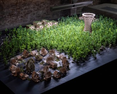 1,200 tree seedlings in a hydroponic grow system in Venice