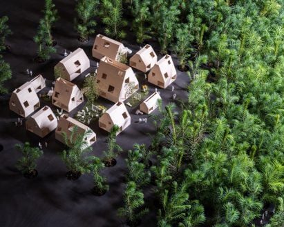 Seedlings growing in the Eco to Ego exhibit around architectural models