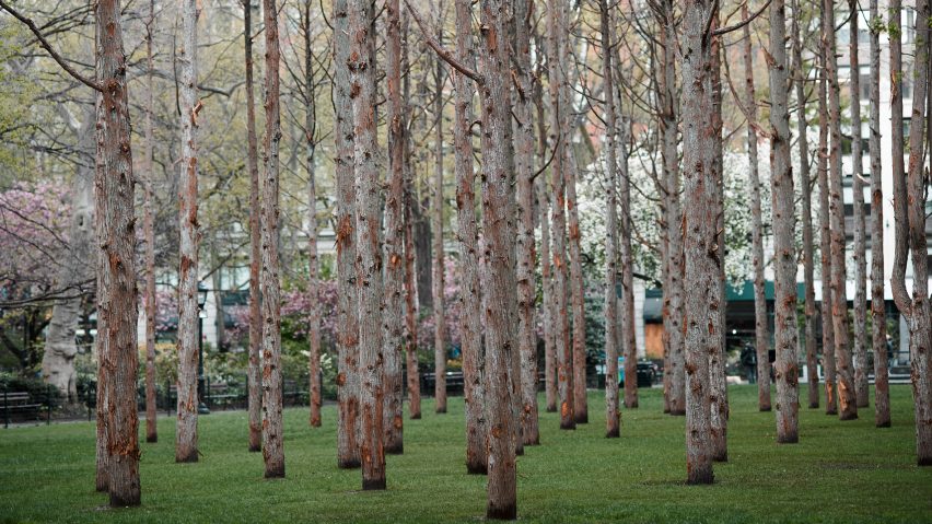 Ghost Forest by Maya Lin