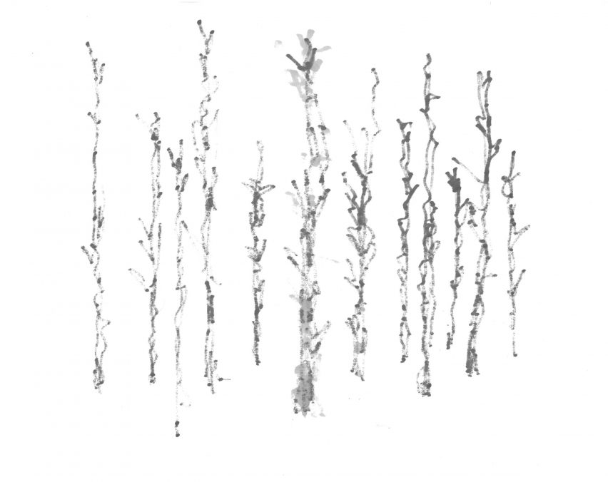Ghost Forest by Maya Lin