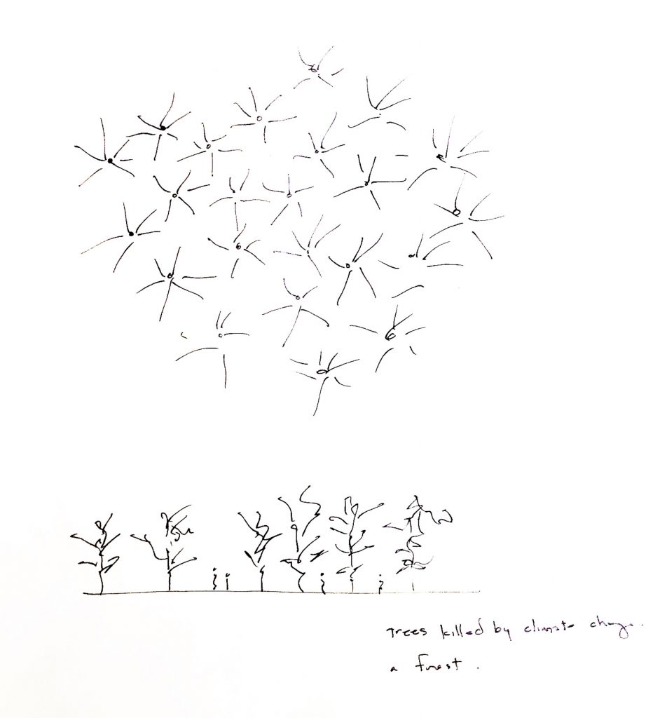 Ghost Forest by Maya Lin