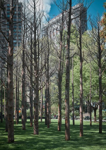 Maya Lin worked with the Madison Square Park Conservancy on the project