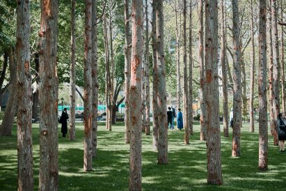 Maya Lin is an American artist and designer