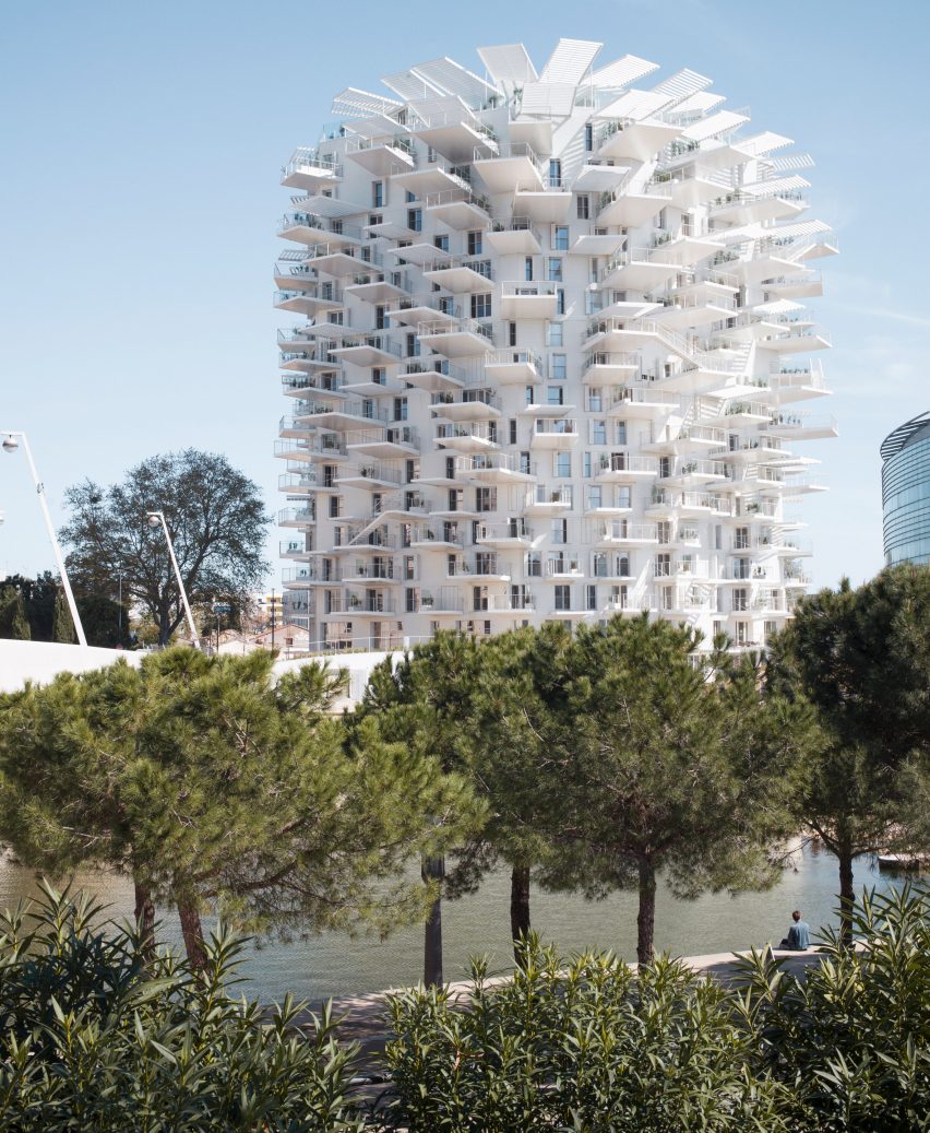 L'Arbre Blanc by Nicolas Laisnè