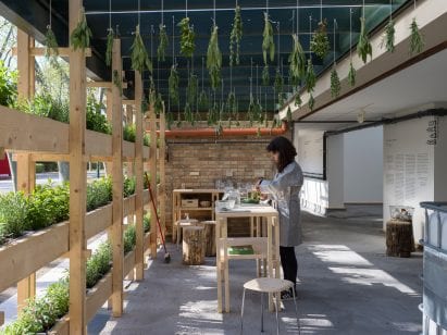Plants are hung from the ceiling of the Danish Pavilion 