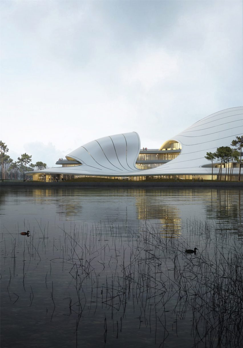 It aims to blend with its surroundings