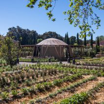 The Majlis at Venice Architecture Biennale