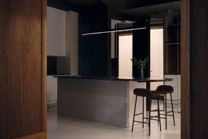 Future Simple Studio chose dark colours for the interiors