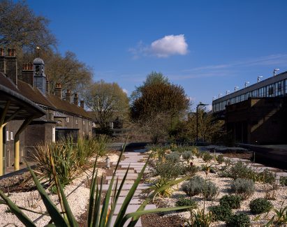 A garden at the Museum of the Home in London