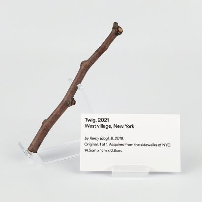 Non-fungible twig NFT by Between Two Naps