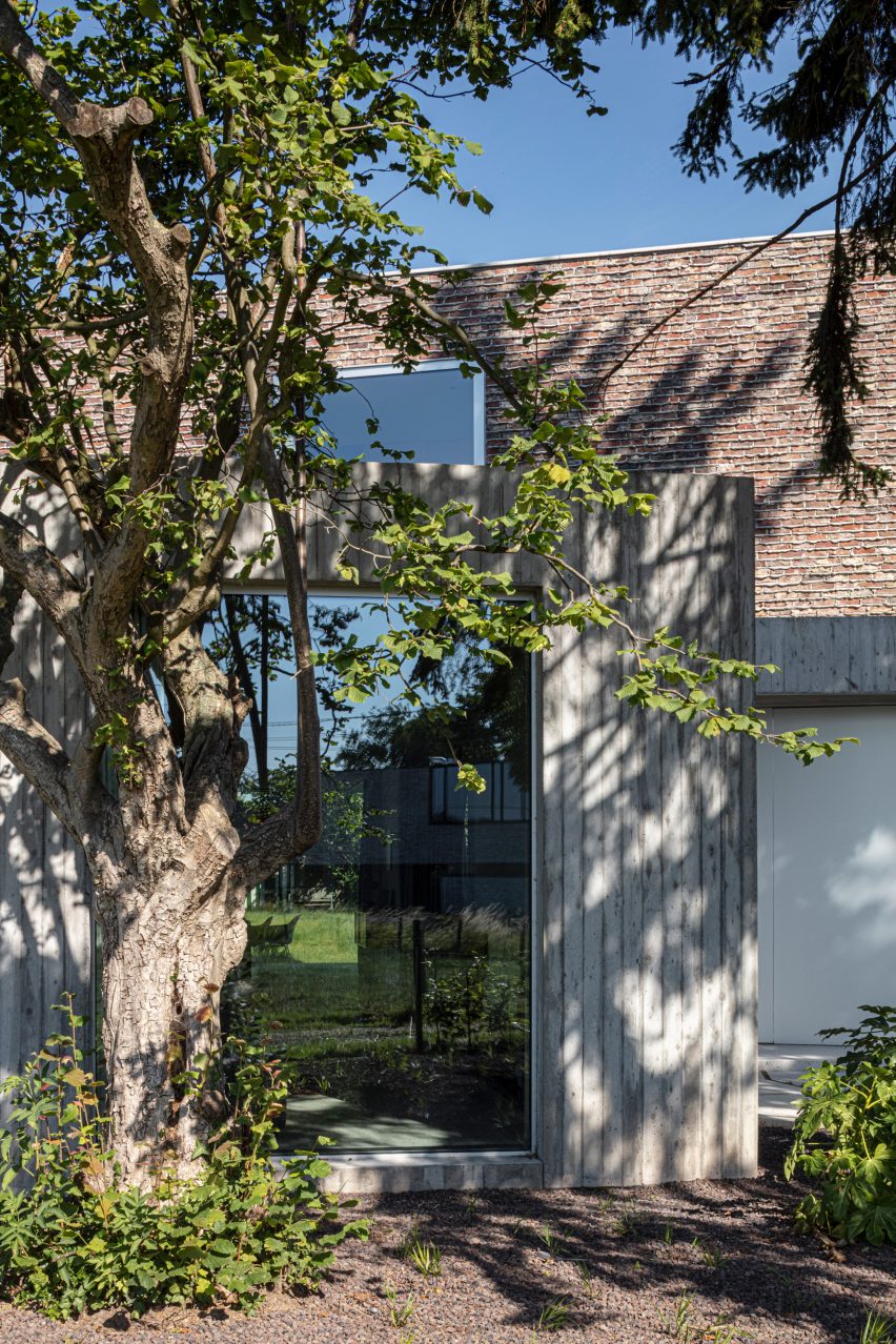 Glazed walls reflect greenery