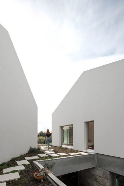 Windows look out onto the rooftop garden