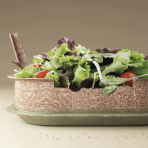Food container made from wheat