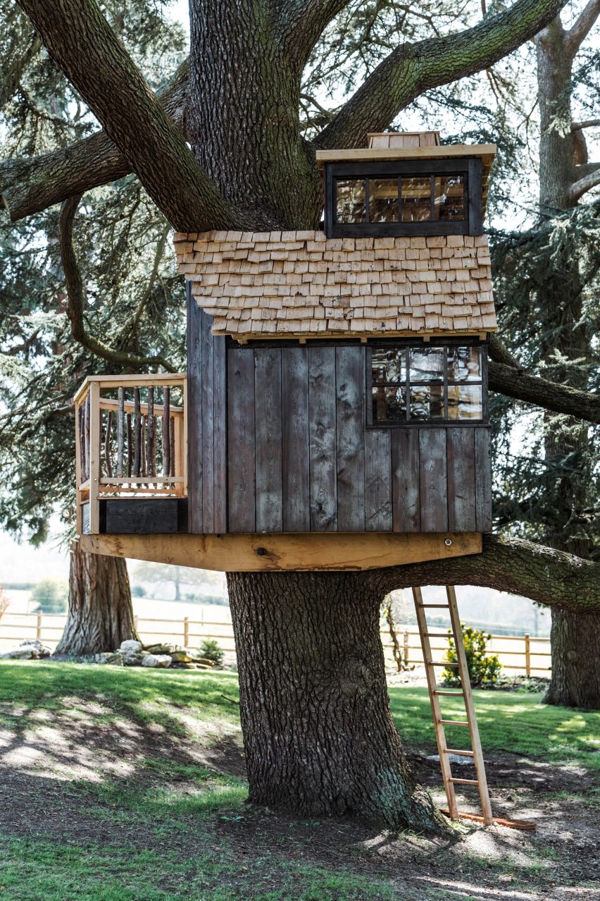 Treehouse with ladder extending to the ground