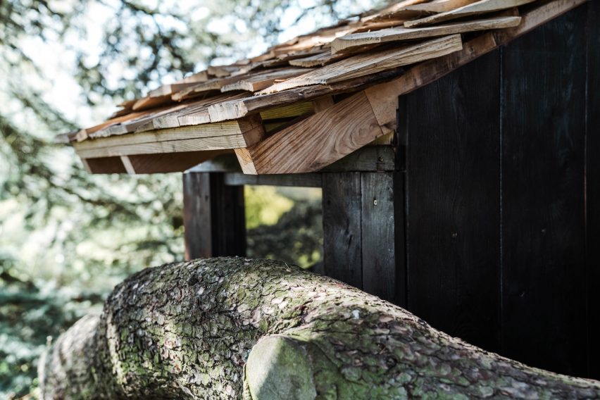 Shingled roof ends above a tree branch