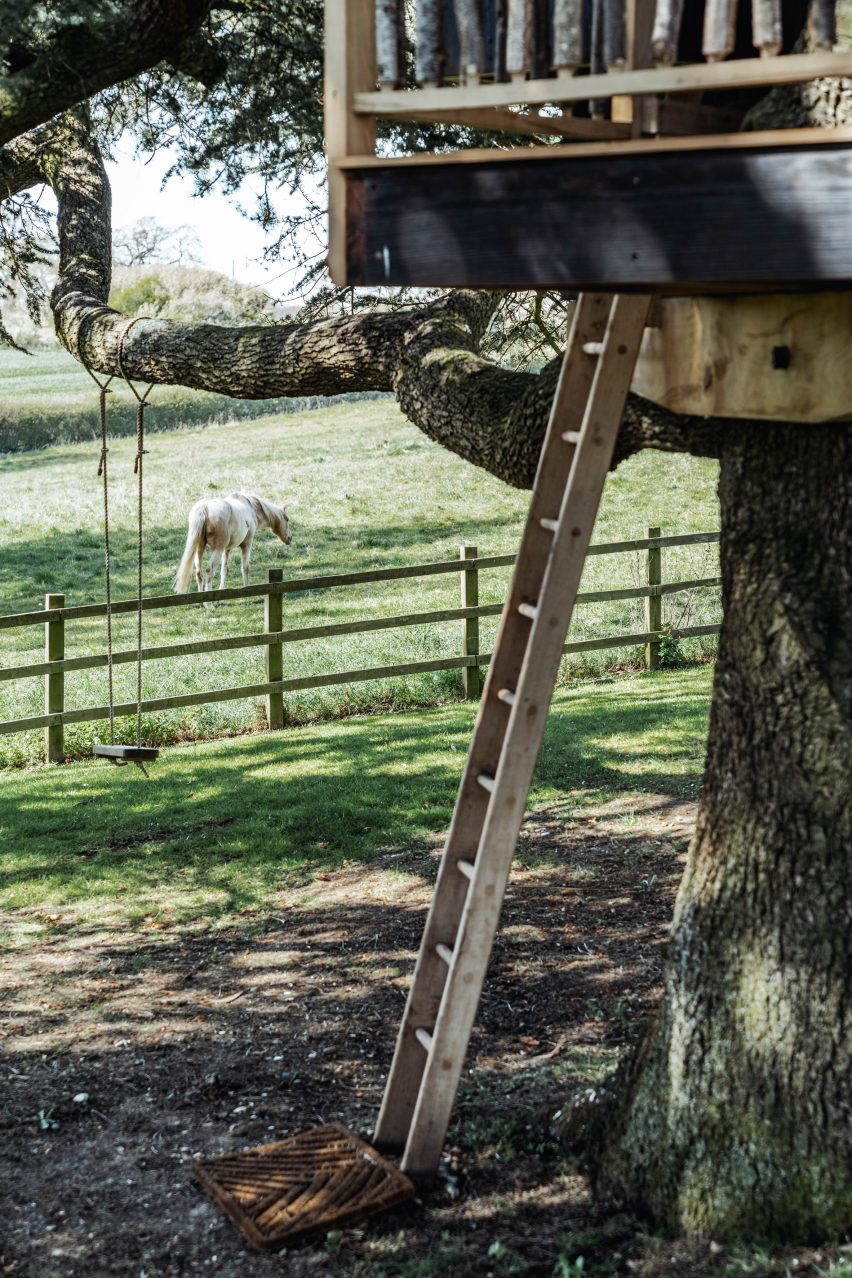Ladder up to a treehouse