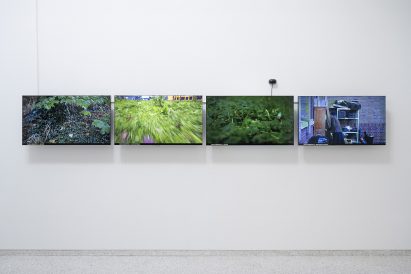 video works exploring Multi-species Urbanism