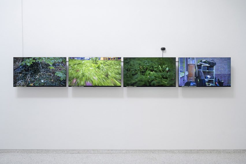 video works exploring Multi-species Urbanism