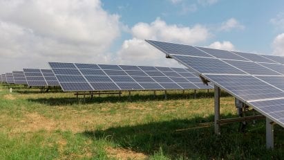 Bulb solar farm