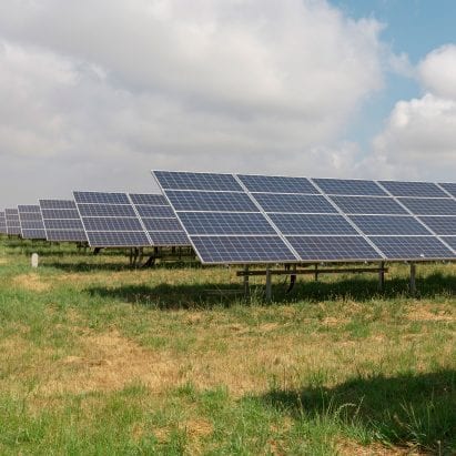 Bulb solar farm