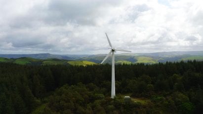 Bulb wind turbine