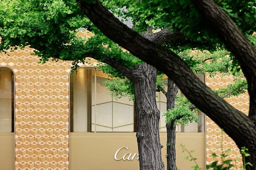 Gold contrasts with the trees