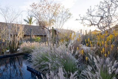Water feature in landscape of hotel in Mexico