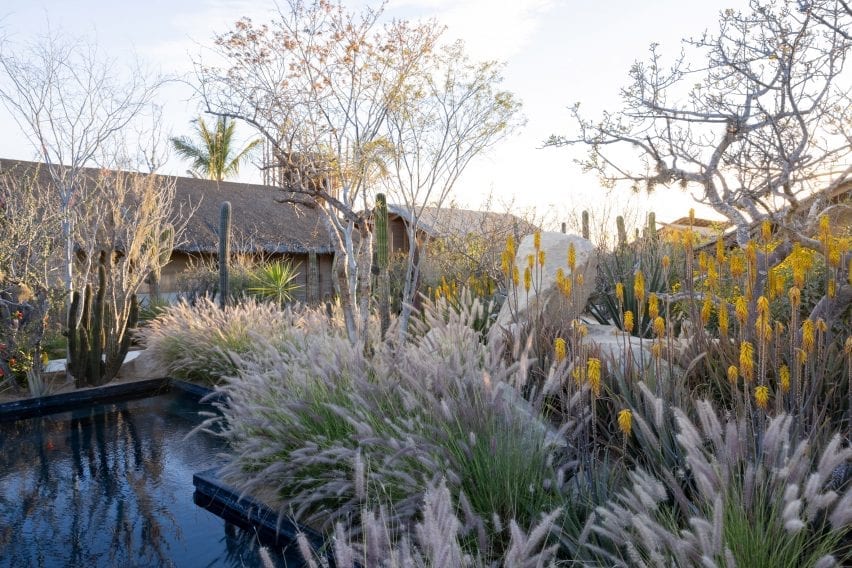 Water feature in landscape of hotel in Mexico