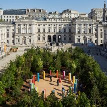 Global Goals installation in mini forest