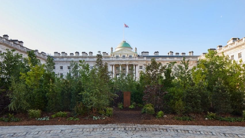 Forest for Change in London
