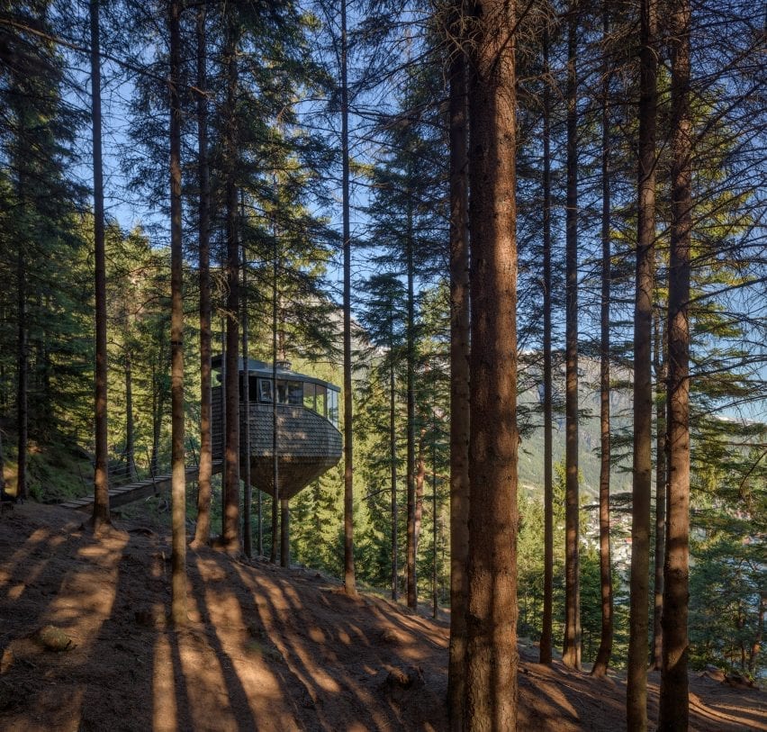The cabins are located in a dense forest