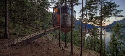 The woodnest treehouses pictured lit up at dusk