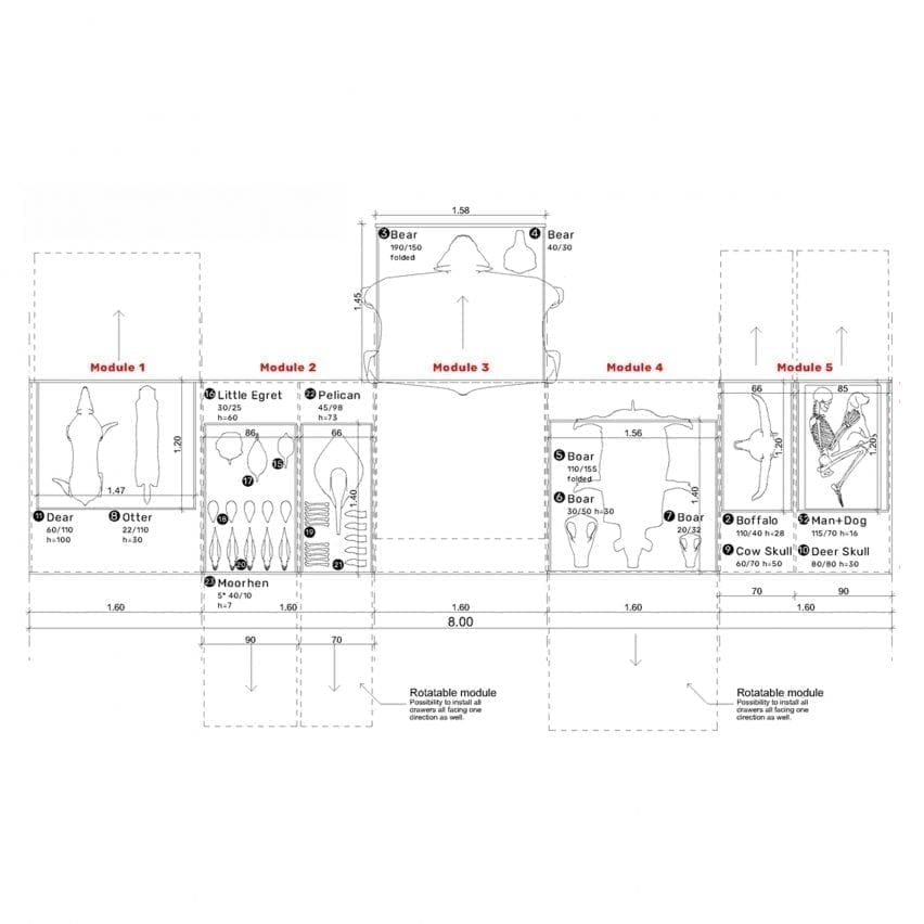 Plan of the exhibition