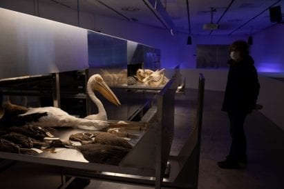 Dan Hasson co-curated the exhibition