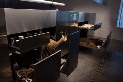 The Israel Pavilion confronts the country's agricultural history